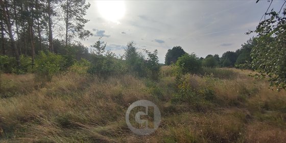 działka na sprzedaż 1343m2 działka Bolemin