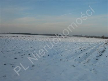 działka na sprzedaż 13600m2 działka Żuków