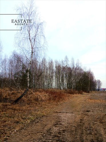 działka na sprzedaż 1000m2 działka Koryta