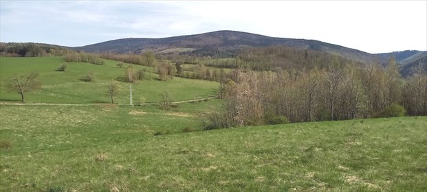 działka na sprzedaż 1937m2 działka Walim