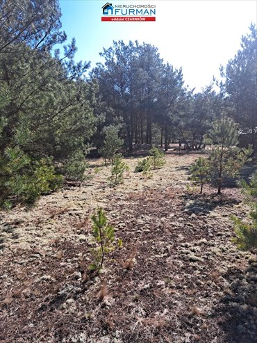 działka na sprzedaż 1498m2 działka Biała