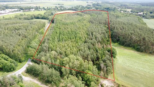 Do sprzedania las 12 ha z linią brzegową jeziora w Niewierz działka Brodnica, Niewierz