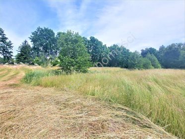 Działka budowlana na sprzedaż Zalesie 5 000m2 Foto 3