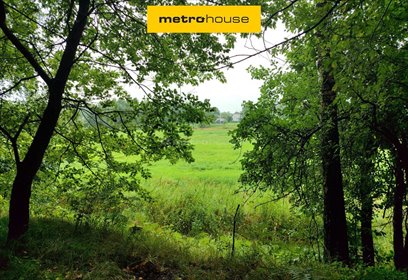 działka na sprzedaż 5650m2 działka Przegędza, Piaskowa