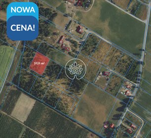 Działka 3121 m² pod dom w Stronnie – idealna inwestycja działka Stronno