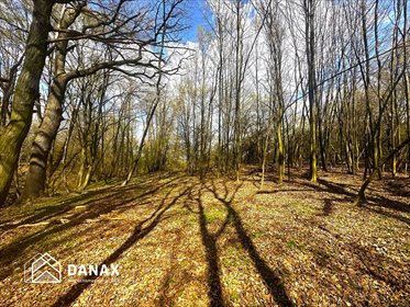 działka na sprzedaż 1350m2 działka Lednica Górna