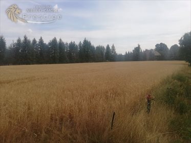 Działka budowlana na sprzedaż Biskupice, Biskupskie Drogi 1 564m2 Foto 6