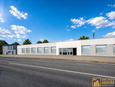 Duży lokal 229 m2 z witryną, parking, adaptacja lokal użytkowy Opole