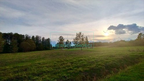 działka na sprzedaż 1600m2 działka Chrzanów Mały