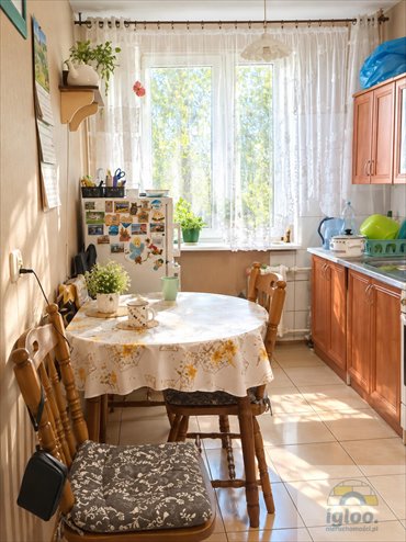 Zapraszam do wynajęcia 50 m² mieszkania na Na Stoku w Kielcach mieszkanie Kielce, Na Stoku