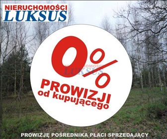 Działka budowlana pod dzierżawę Biały Ług, Biały Ług 12 300m2 Foto 1