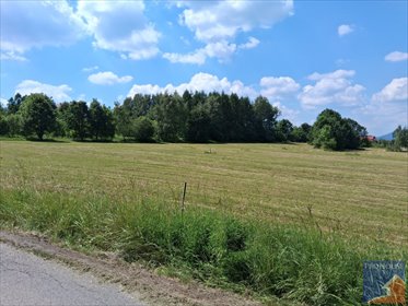 Działka 1238 m² w Sowlinach z warunkami zabudowy działka Sowliny