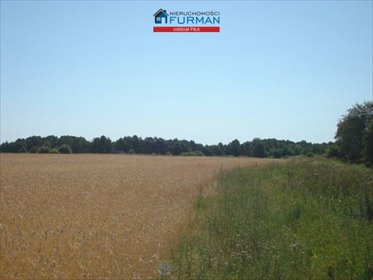 działka na sprzedaż 3000m2 działka Górzna, Pieczyn