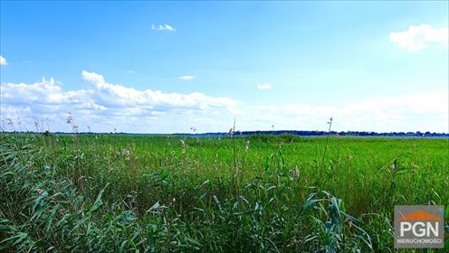 Działka nad zalewem na wyspie Chrząszczewo, 1400 m² działka Chrząszczewo, Nad zalewem