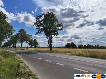 działka na sprzedaż 5000m2 działka Gzowo