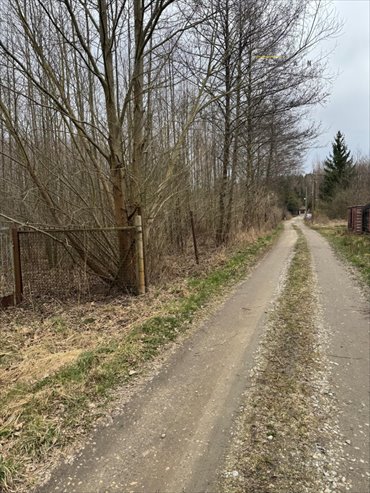 Działka 1731 m² w Aleksandrowie Łódzkim (blisko natury) działka Aleksandrów Łódzki