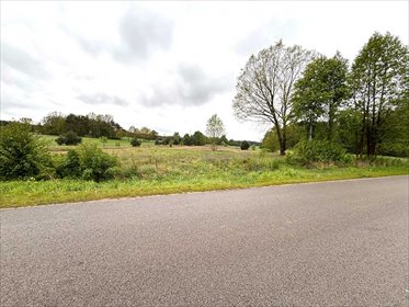 Polecam atrakcyjną działkę 20 648 m² w Rudniku Dużym działka Rudnik Duży