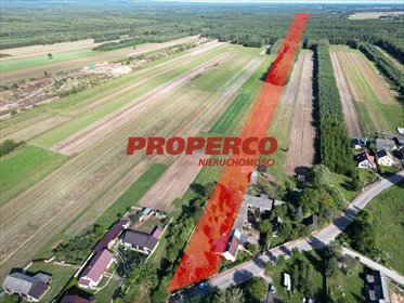 Na sprzedaż działka 25 240 m² z lasem i altaną w Osiny działka Osiny