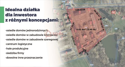 Działka budowlana na sprzedaż Sarbia 24 500m2 Foto 1