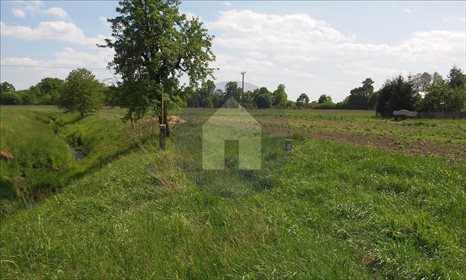Działka siedliskowa na sprzedaż Szczytniki Nad Kaczawą 7 300m2 Foto 4