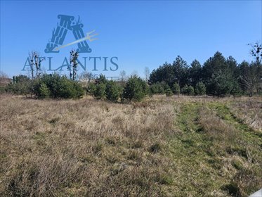 działka na sprzedaż 1189m2 działka Łochowo