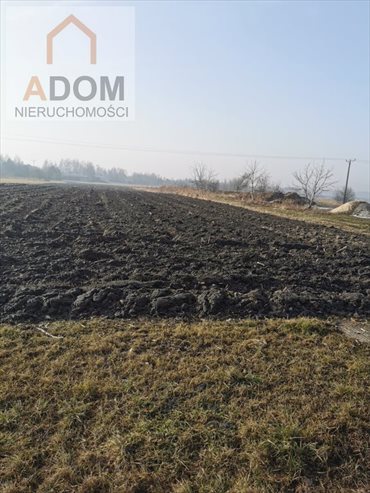 działka na sprzedaż 10519m2 działka Chełm Śląski