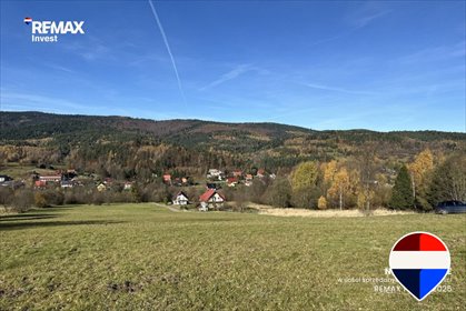 Przepiękna działka 23 200 m² z lasem i widokami działka Las, Bacówka