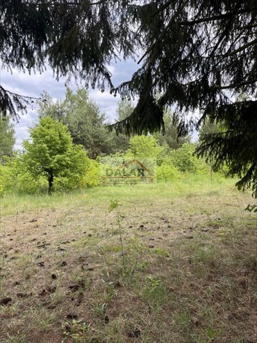działka na sprzedaż 2906m2 działka Prace Duże