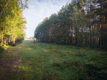 Wyjątkowe działki budowlane w Sokolnikach z MPZP działka Sokolniki, Lawendowa