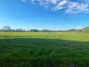 Do sprzedania działka 1121 m² z warunkami zabudowy w Karolewie działka Janiszewice, Karolew