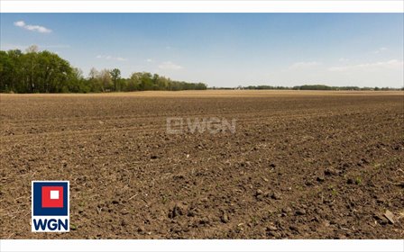 działka na sprzedaż 23635m2 działka Kolonia Lisowice, Kolonia Lisowice