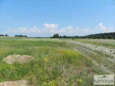 Działka rolna na sprzedaż Gózd Lipiński 11 400m2 Foto 5