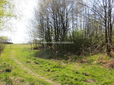 działka na sprzedaż 6985m2 działka Zebrzydowice