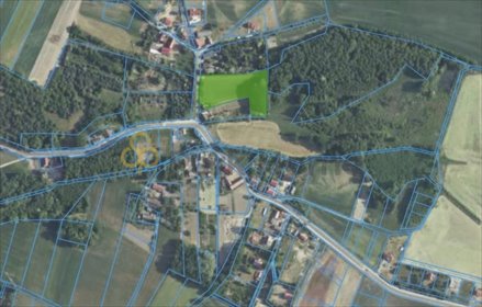 działka na sprzedaż 7800m2 działka Obiszów