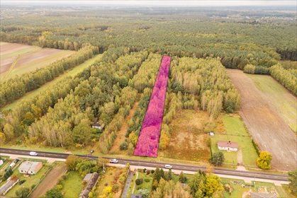 Własny las, cisza i zapach żywicy -siedlisko. działka Stefanów