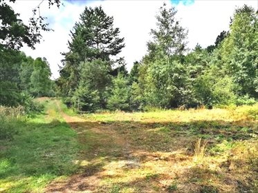 Działka rekreacyjna na sprzedaż Niwy 1 600m2 Foto 1