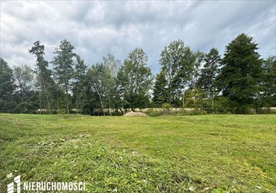 działka na sprzedaż 3442m2 działka Sosnowice, Dworska