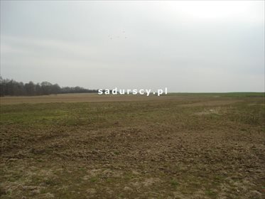 Działka inwestycyjna na sprzedaż Morawica 10 000m2 Foto 4