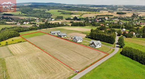 Działka inwestycyjna na sprzedaż Niewodna 14 000m2 Foto 2
