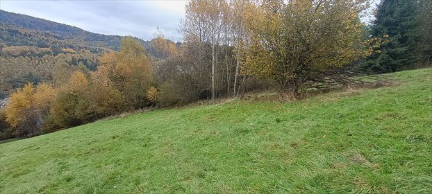 działka na sprzedaż 1658m2 działka Rajcza