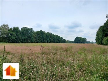 działka na sprzedaż 1064m2 działka Chybie, Dworcowa