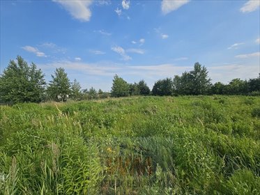 działka na sprzedaż 1300m2 działka Grójec