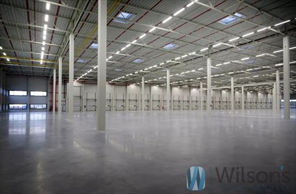 magazyn na wynajem 3000m2 magazyn Ciemne