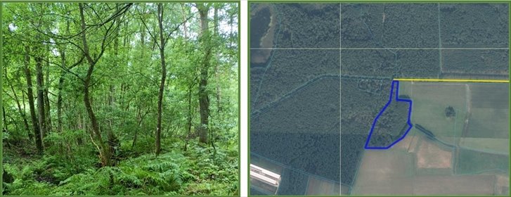 działka na sprzedaż 31012m2 działka Broczyna