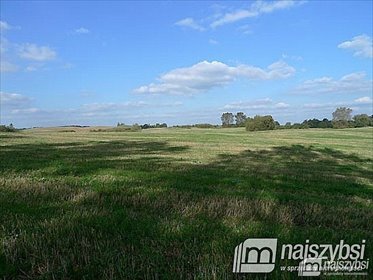 działka na sprzedaż 94300m2 działka Maszewo, Bagna