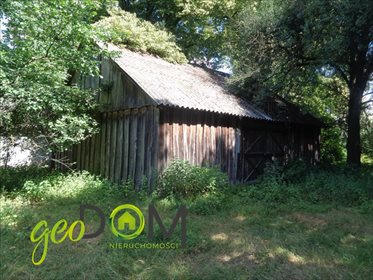 Działka rolna na sprzedaż Pojelce 38 830m2 Foto 4