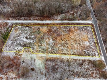 Polecam dużą działkę 7335 m² w Zboiskach z MPZP działka Zboiska