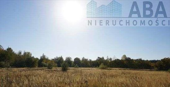 działka na sprzedaż 11444m2 działka Cienin-Perze