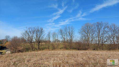 Działka budowlana na sprzedaż Wilków 1 128m2 Foto 3