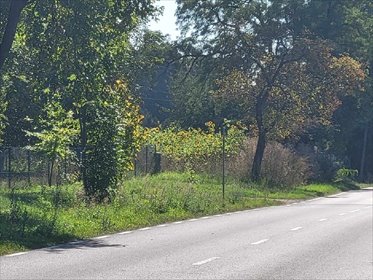 Działka 4520 m² z mediami i planem zagospodarowania działka Mykanów, BOROWNO KOLONIA